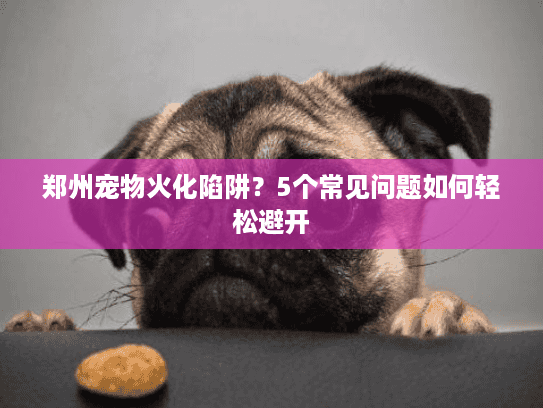 郑州宠物火化陷阱？5个常见问题如何轻松避开