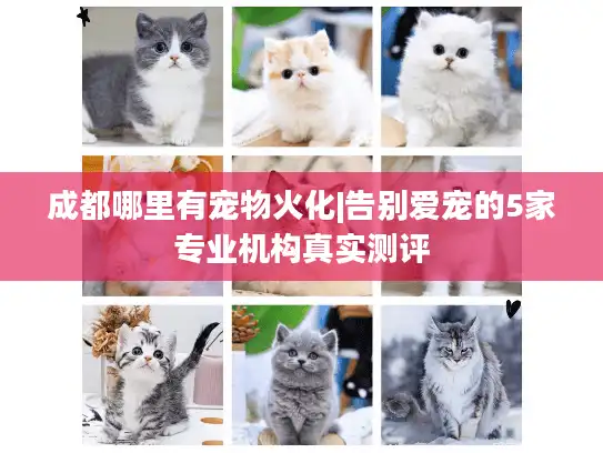 成都哪里有宠物火化|告别爱宠的5家专业机构真实测评 成都哪里有宠物火化|告别爱宠的5家专业机构真实测评