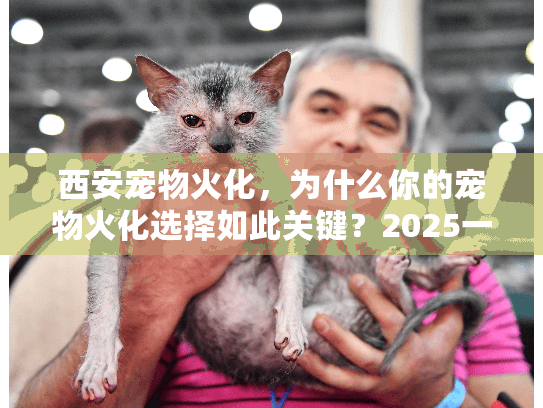 西安宠物火化,为什么你的宠物火化选择如此关键?2025一站式服务对比) 西安宠物火化,为什么你的宠物火化选择如此关键?2025一站式服务对比)