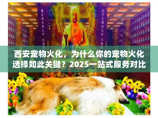西安宠物火化,为什么你的宠物火化选择如此关键?2025一站式服务对比) 西安宠物火化,为什么你的宠物火化选择如此关键?2025一站式服务对比)