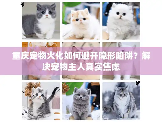 重庆宠物火化如何避开隐形陷阱？解决宠物主人真实焦虑