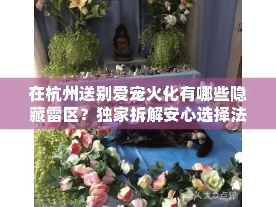 在杭州送别爱宠火化有哪些隐藏雷区？独家拆解安心选择法则