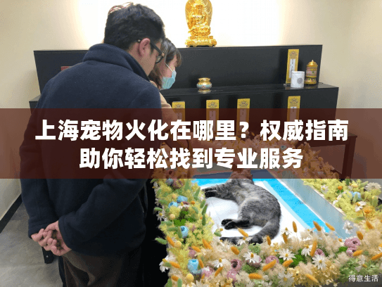 上海宠物火化在哪里？权威指南助你轻松找到专业服务