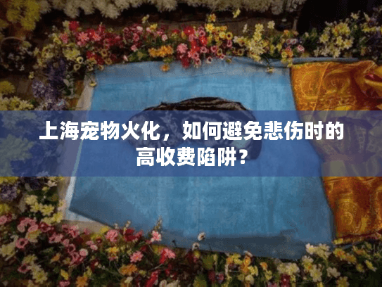 上海宠物火化，如何避免悲伤时的高收费陷阱？