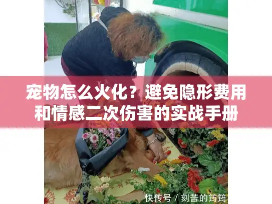 宠物怎么火化？避免隐形费用和情感二次伤害的实战手册