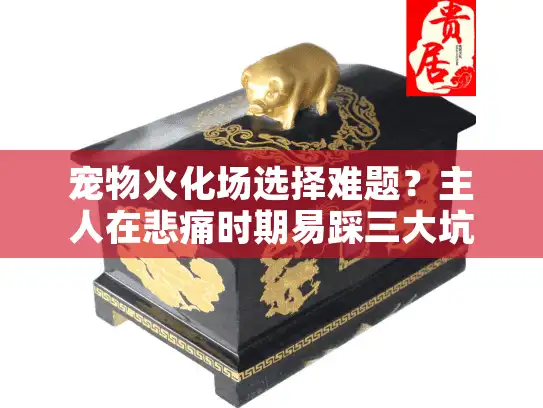 宠物火化场选择难题？主人在悲痛时期易踩三大坑