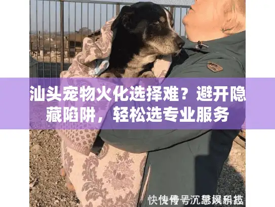 汕头宠物火化选择难？避开隐藏陷阱，轻松选专业服务