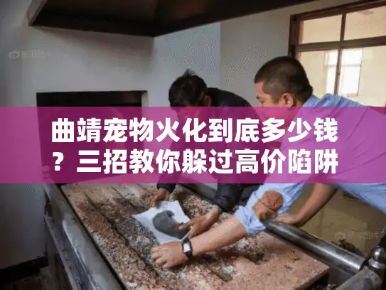 曲靖宠物火化到底多少钱？三招教你躲过高价陷阱