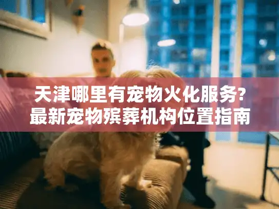 天津哪里有宠物火化服务?最新宠物殡葬机构位置指南