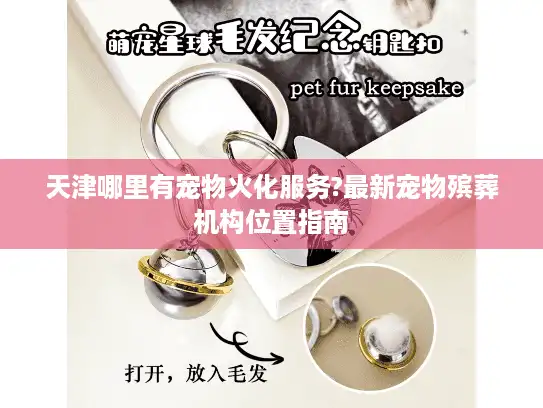 天津哪里有宠物火化服务?最新宠物殡葬机构位置指南
