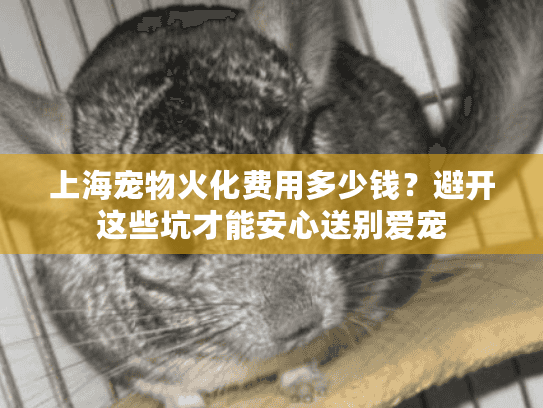 上海宠物火化费用多少钱?避开这些坑才能安心送别爱宠 上海宠物火化费用多少钱?避开这些坑才能安心送别爱宠