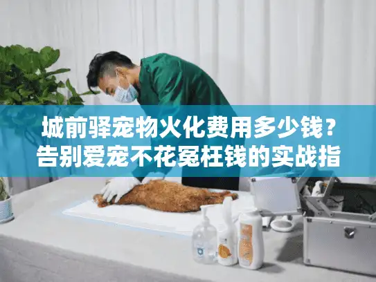 城前驿宠物火化费用多少钱？告别爱宠不花冤枉钱的实战指南