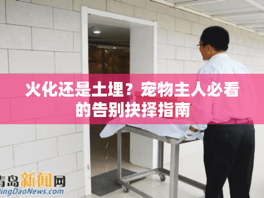 火化还是土埋？宠物主人必看的告别抉择指南