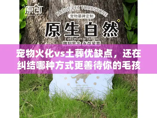 宠物火化vs土葬优缺点，还在纠结哪种方式更善待你的毛孩？