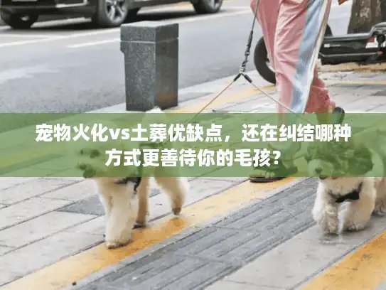 宠物火化vs土葬优缺点，还在纠结哪种方式更善待你的毛孩？