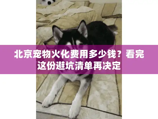 北京宠物火化费用多少钱?看完这份避坑清单再决定 北京宠物火化费用多少钱?看完这份避坑清单再决定