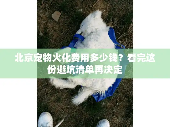 北京宠物火化费用多少钱?看完这份避坑清单再决定 北京宠物火化费用多少钱?看完这份避坑清单再决定