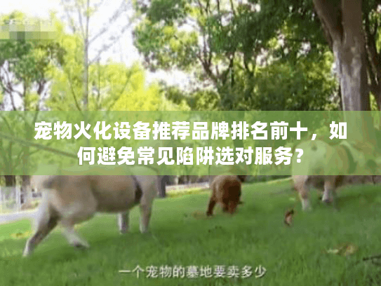 宠物火化设备推荐品牌排名前十,如何避免常见陷阱选对服务? 宠物火化设备推荐品牌排名前十,如何避免常见陷阱选对服务?