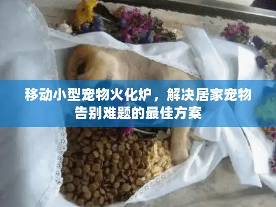 移动小型宠物火化炉,解决居家宠物告别难题的最佳方案 移动小型宠物火化炉,解决居家宠物告别难题的最佳方案