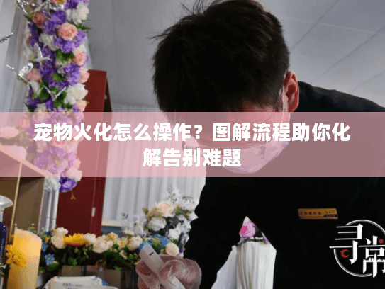 宠物火化怎么操作？图解流程助你化解告别难题