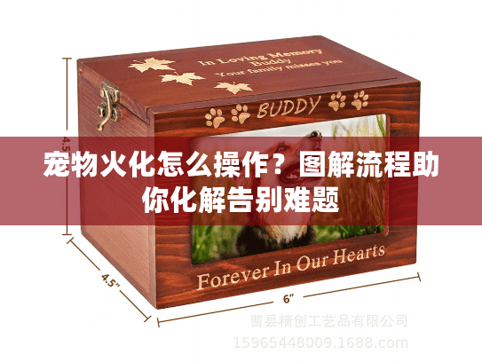 宠物火化怎么操作？图解流程助你化解告别难题