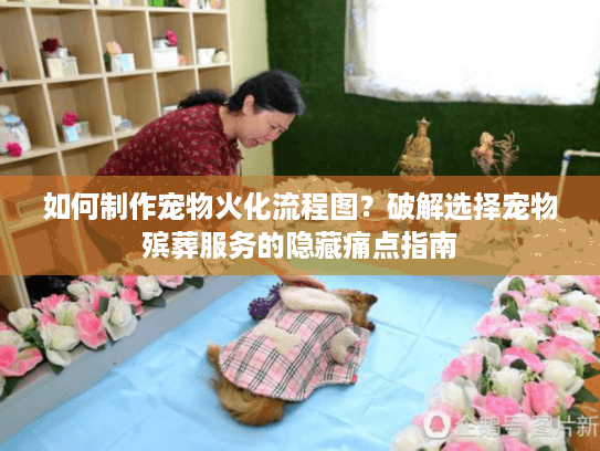 如何制作宠物火化流程图？破解选择宠物殡葬服务的隐藏痛点指南