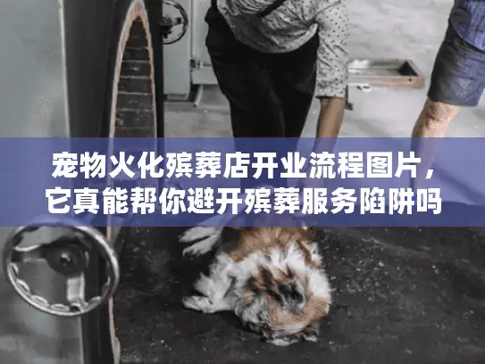 宠物火化殡葬店开业流程图片，它真能帮你避开殡葬服务陷阱吗？