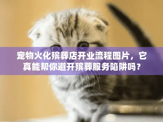宠物火化殡葬店开业流程图片，它真能帮你避开殡葬服务陷阱吗？