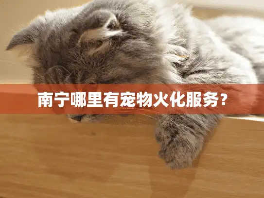 南宁哪里有宠物火化服务？