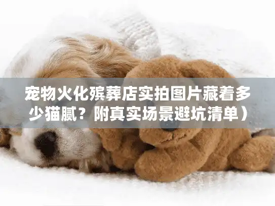 宠物火化殡葬店实拍图片藏着多少猫腻？附真实场景避坑清单）