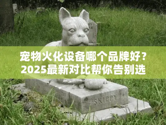 宠物火化设备哪个品牌好？2025最新对比帮你告别选择焦虑症