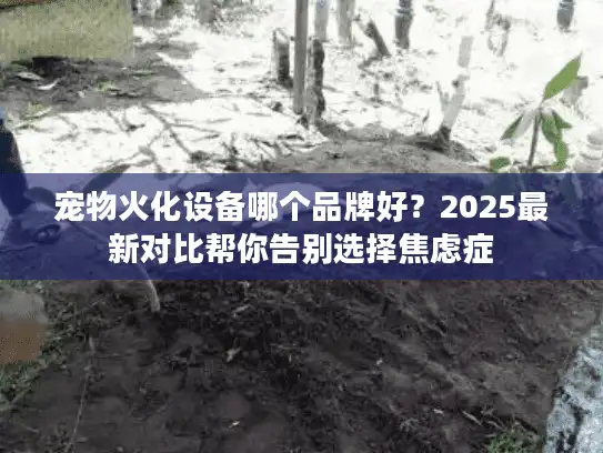 宠物火化设备哪个品牌好？2025最新对比帮你告别选择焦虑症