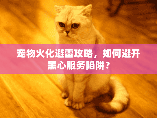 宠物火化避雷攻略，如何避开黑心服务陷阱？