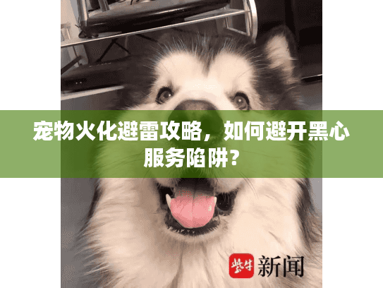 宠物火化避雷攻略，如何避开黑心服务陷阱？