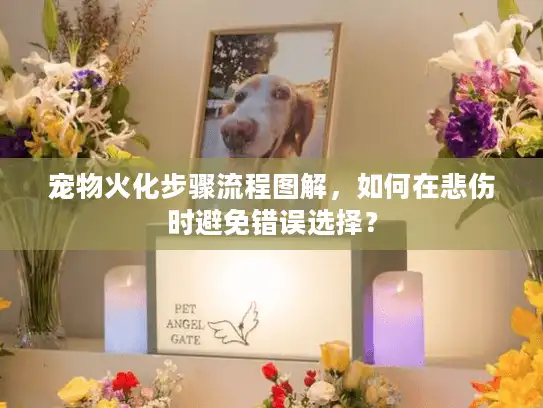 宠物火化步骤流程图解,如何在悲伤时避免错误选择? 宠物火化步骤流程图解,如何在悲伤时避免错误选择?