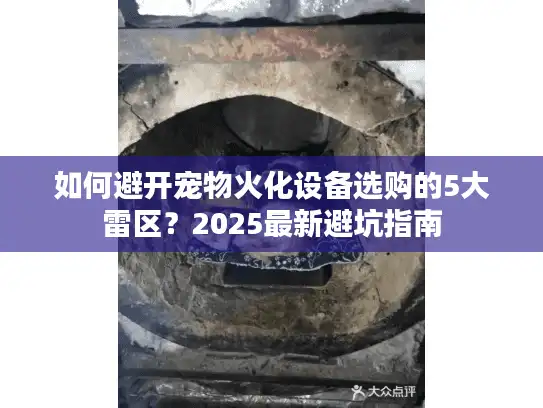 如何避开宠物火化设备选购的5大雷区？2025最新避坑指南