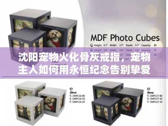 沈阳宠物火化骨灰戒指，宠物主人如何用永恒纪念告别挚爱？