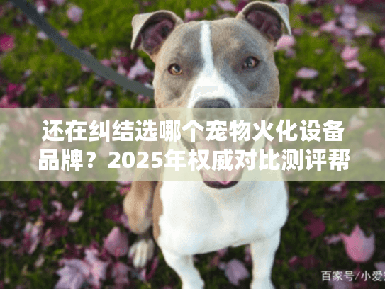 还在纠结选哪个宠物火化设备品牌？2025年权威对比测评帮你避坑