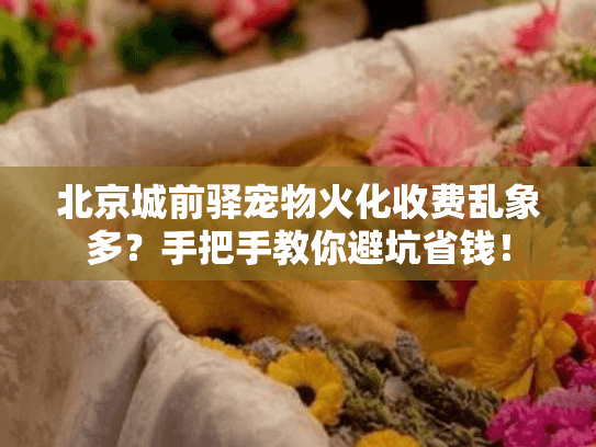 北京城前驿宠物火化收费乱象多?手把手教你避坑省钱! 北京城前驿宠物火化收费乱象多?手把手教你避坑省钱!