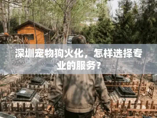 深圳宠物狗火化，怎样选择专业的服务？