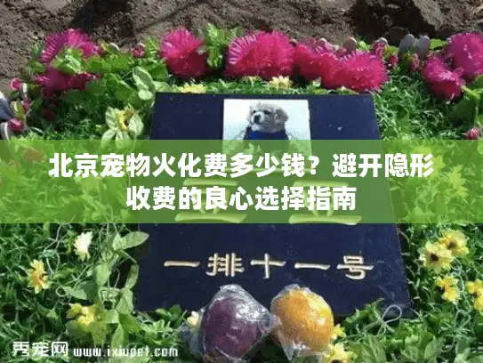 北京宠物火化费多少钱？避开隐形收费的良心选择指南
