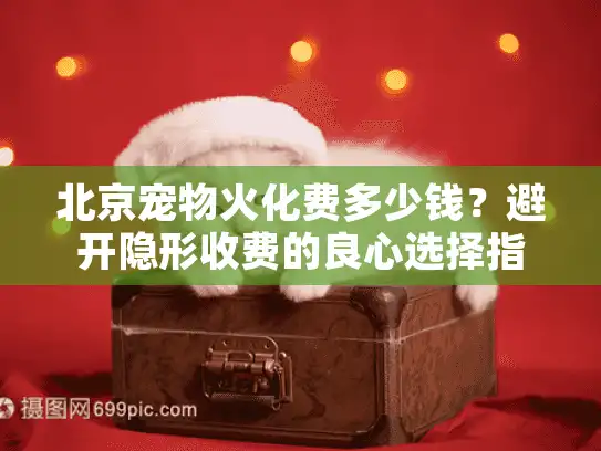 北京宠物火化费多少钱？避开隐形收费的良心选择指南