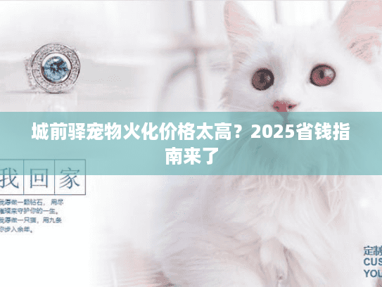 城前驿宠物火化价格太高?2025省钱指南来了 城前驿宠物火化价格太高?2025省钱指南来了