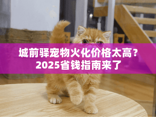 城前驿宠物火化价格太高?2025省钱指南来了 城前驿宠物火化价格太高?2025省钱指南来了