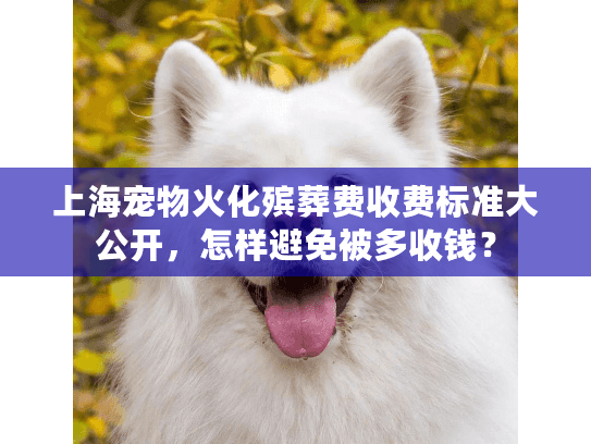 上海宠物火化殡葬费收费标准大公开,怎样避免被多收钱? 上海宠物火化殡葬费收费标准大公开,怎样避免被多收钱?