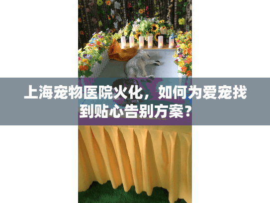上海宠物医院火化，如何为爱宠找到贴心告别方案？