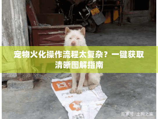 宠物火化操作流程太复杂?一键获取清晰图解指南 宠物火化操作流程太复杂?一键获取清晰图解指南