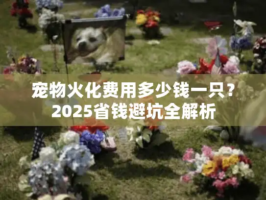 宠物火化费用多少钱一只?2025省钱避坑全解析 宠物火化费用多少钱一只?2025省钱避坑全解析
