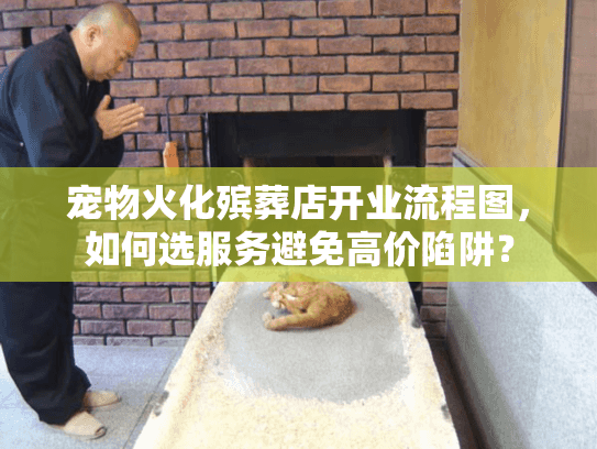 宠物火化殡葬店开业流程图，如何选服务避免高价陷阱？