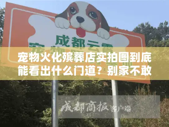 宠物火化殡葬店实拍图到底能看出什么门道?别家不敢说的内幕揭秘! 宠物火化殡葬店实拍图到底能看出什么门道?别家不敢说的内幕揭秘!